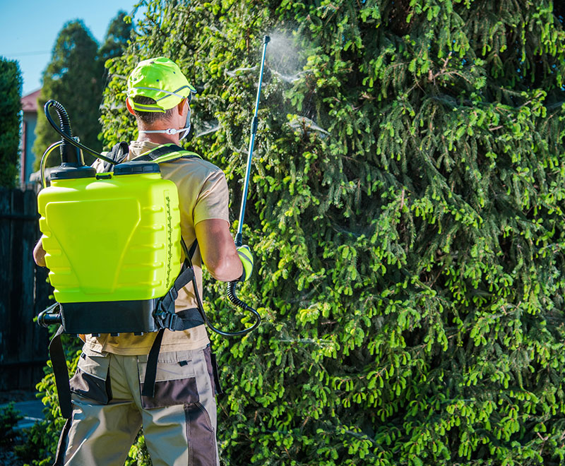 Property Maintenance